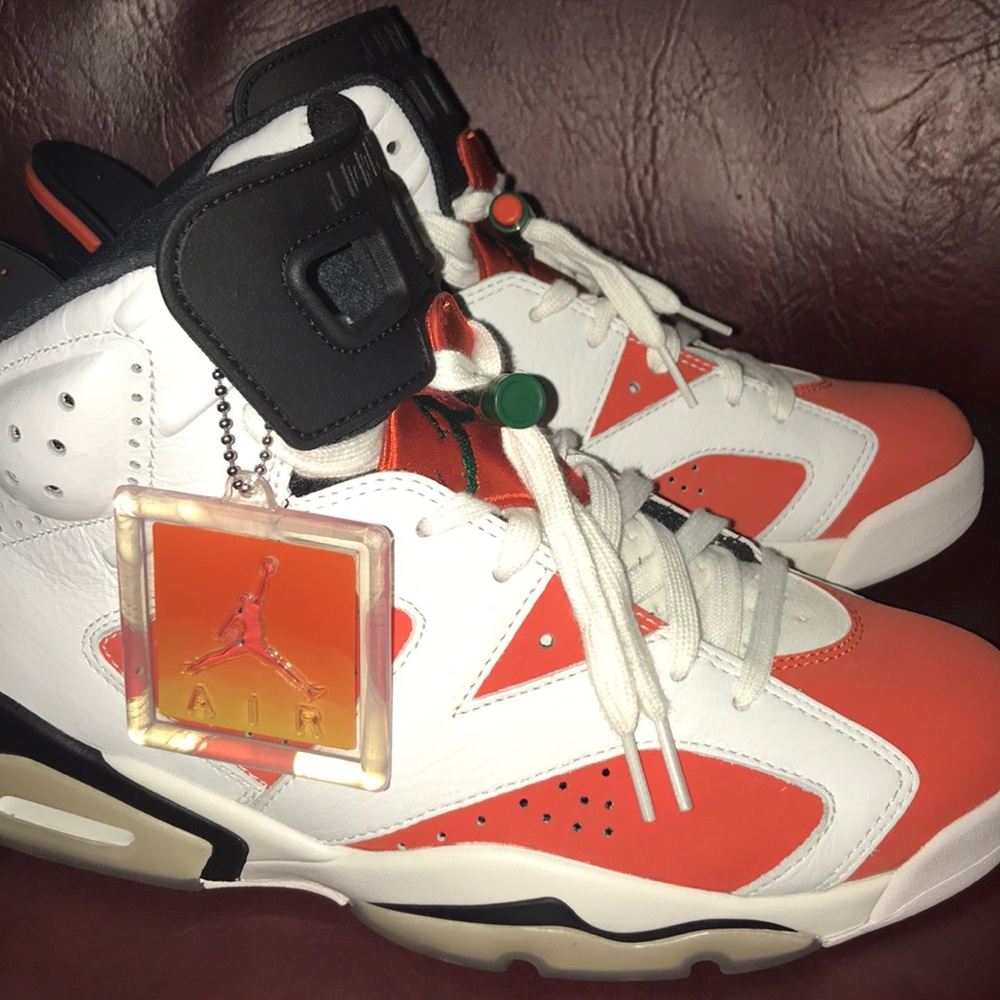 Air Jordan 6 Gatorade